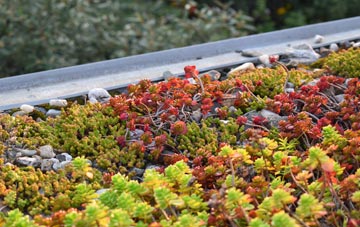 the cost of Rathfriland green roof installation