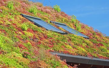 Rathfriland living roof systems