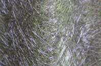 Rathfriland fibreglass roof work